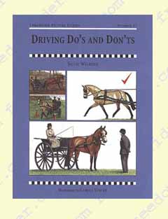Driving Do's and Don'ts