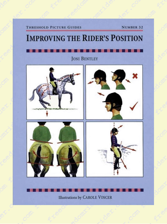 Improving the Rider's Position