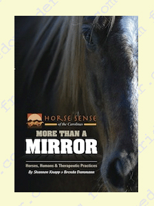 More Than a Mirror