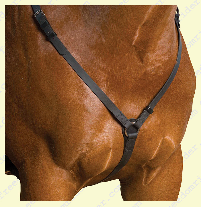 Wintec Breastplate