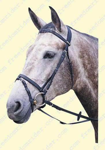 Wintec Flash Bridle