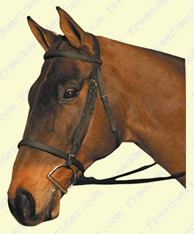 Wintec Bridle