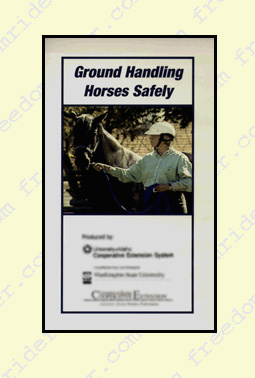 CHA Ground Handling Horses Safely