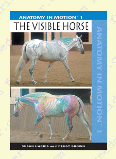 The Visible Horse. Susan Harris and Peggy Brown. Available in Video and DVD formats