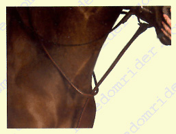 Kincade