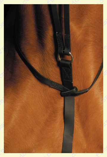 Wintec Running Martingale