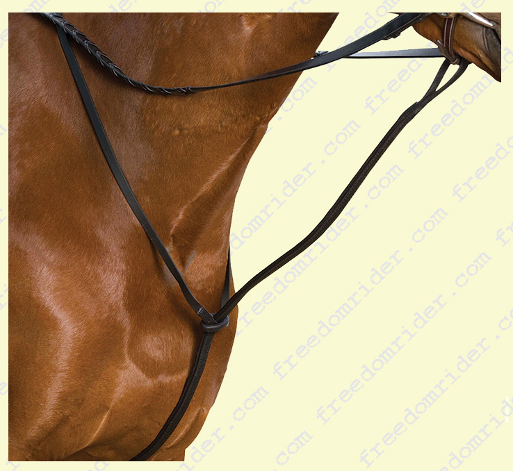 Wintec Standing Martingale