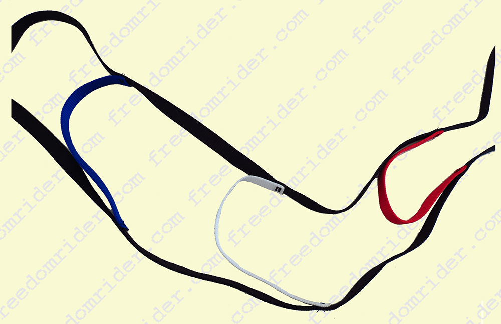 Ladder Reins
