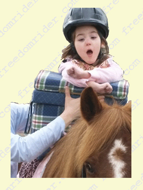 Therapeutic Riding Hippo-Helper